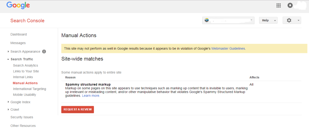 Webmaster with a schema markup manual action penalty