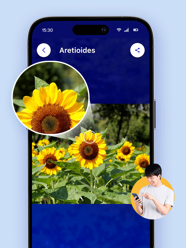 Intelligent Image Optimization We built an automated pipeline to compress images without losing detail File sizes were shaved by 60%, plus adaptive loading made every photo look sharp no matter the device.