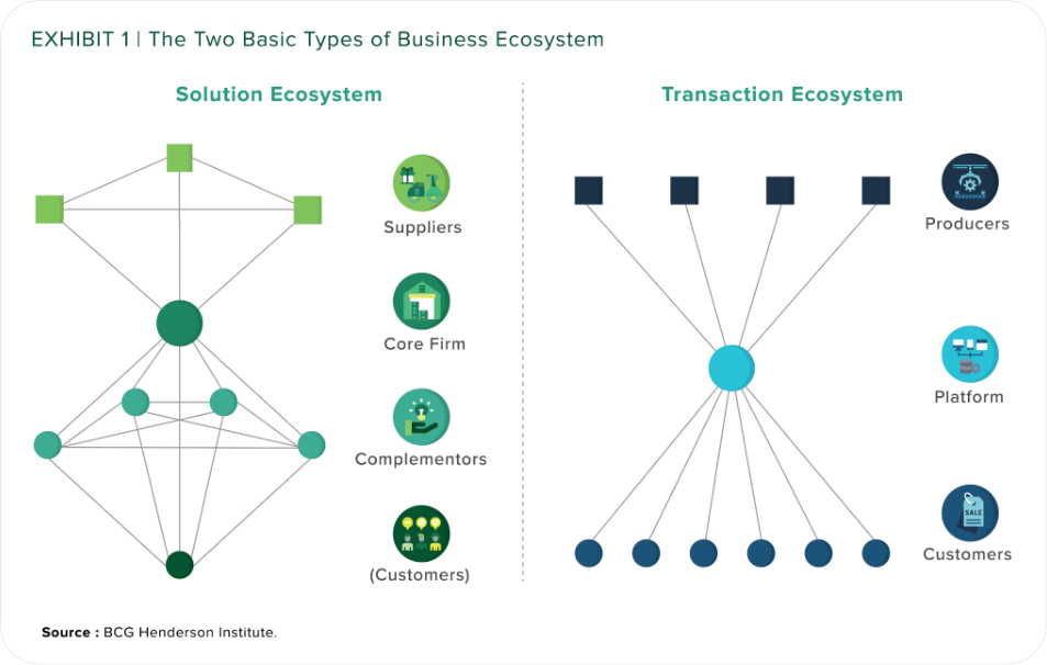 BCG Ecosystem Strategy Insights