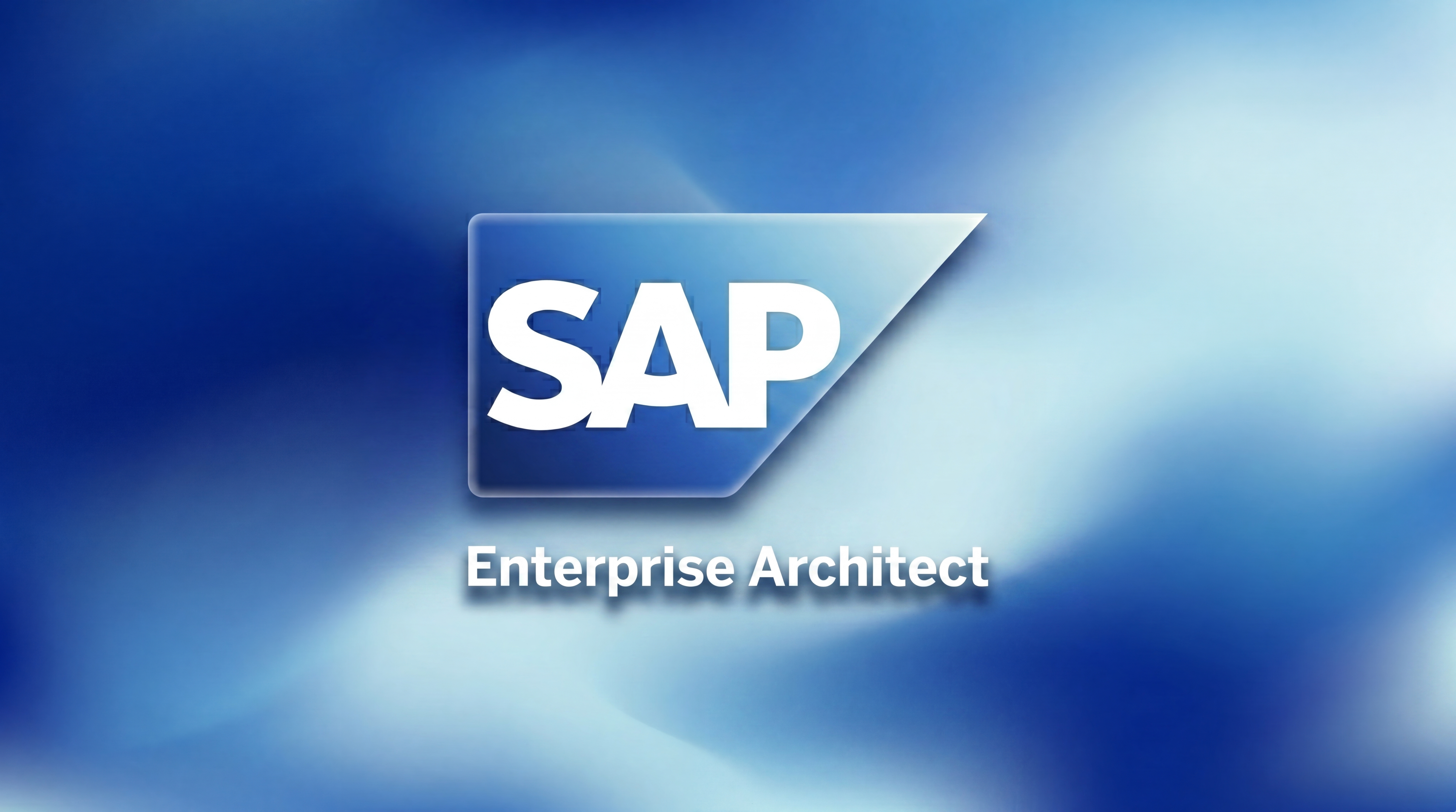 ERP Architect