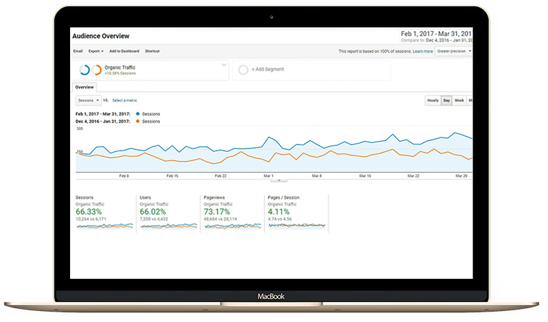 Google Universal Analytics dashboard showing the organic traffic details