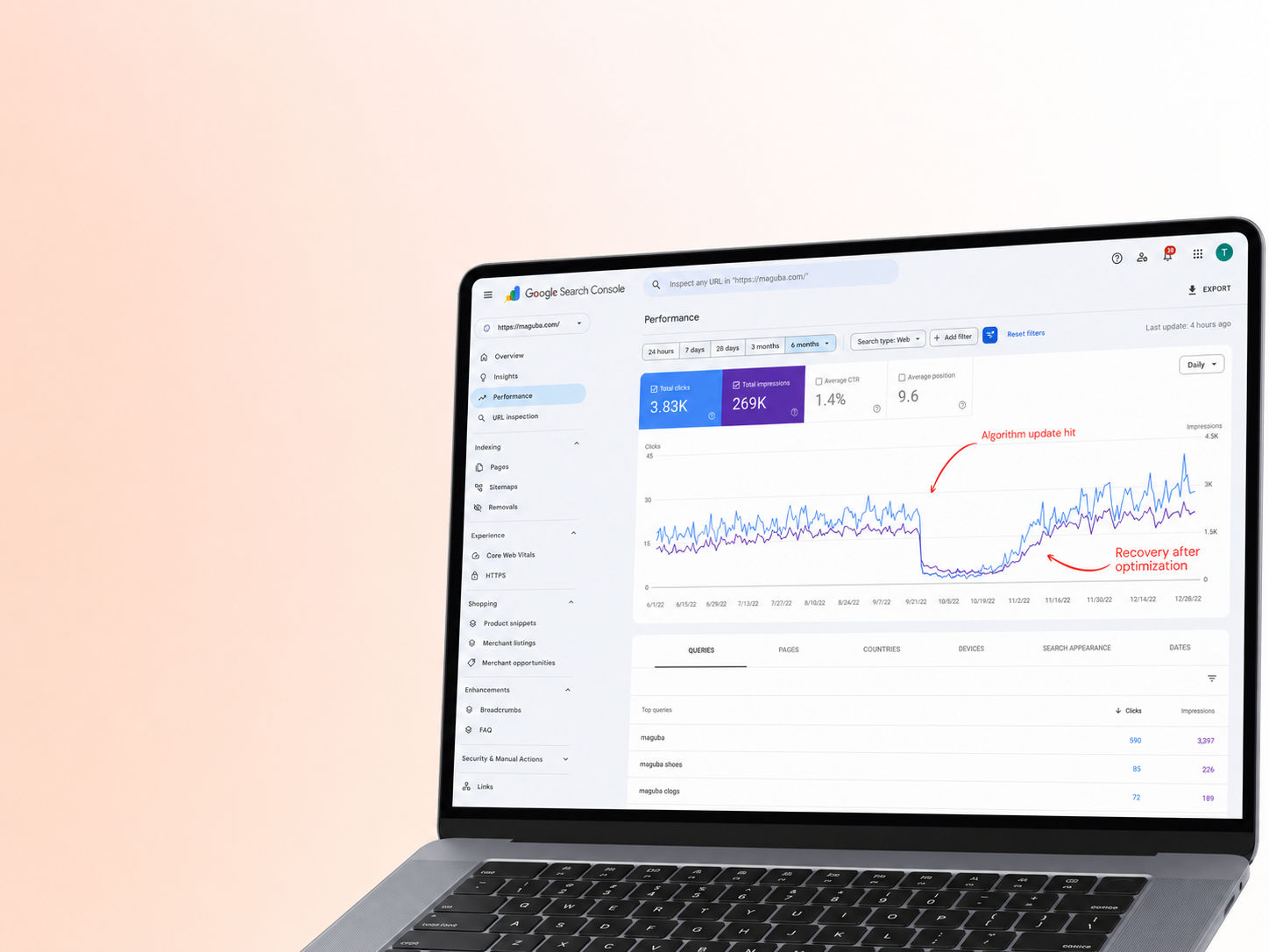 E-commerce SEO, Algorithm Recovery, and a Shopify Migration for Maguba