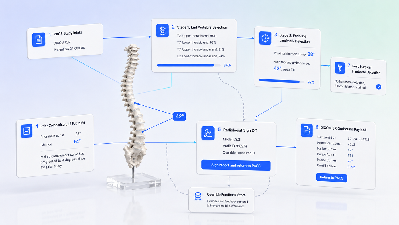 Cobb angle sidebar architecture inside the PACS reading workflow