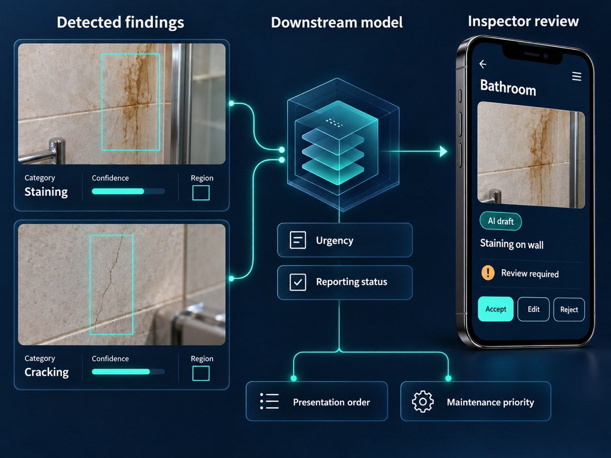 Schematic data record view of the detection model's three separated per instance signals and the downstream fine tuned reporting output