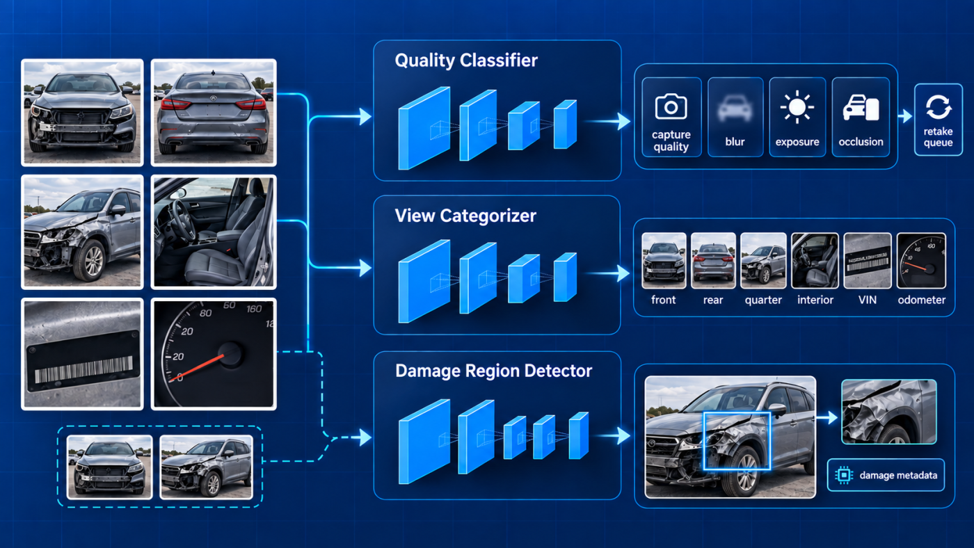 Specialist model roles, output scope, and applicable image types